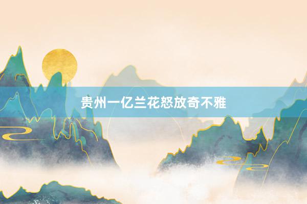 贵州一亿兰花怒放奇不雅